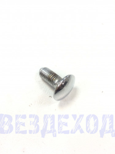 Болт М 8х20х1,25 бампера 07 хромированный короткий (боковой)