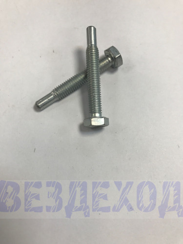 Болт М 6х40 успокоителя цепи 21214, 2123